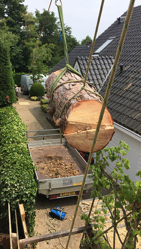 Boom verwijderen